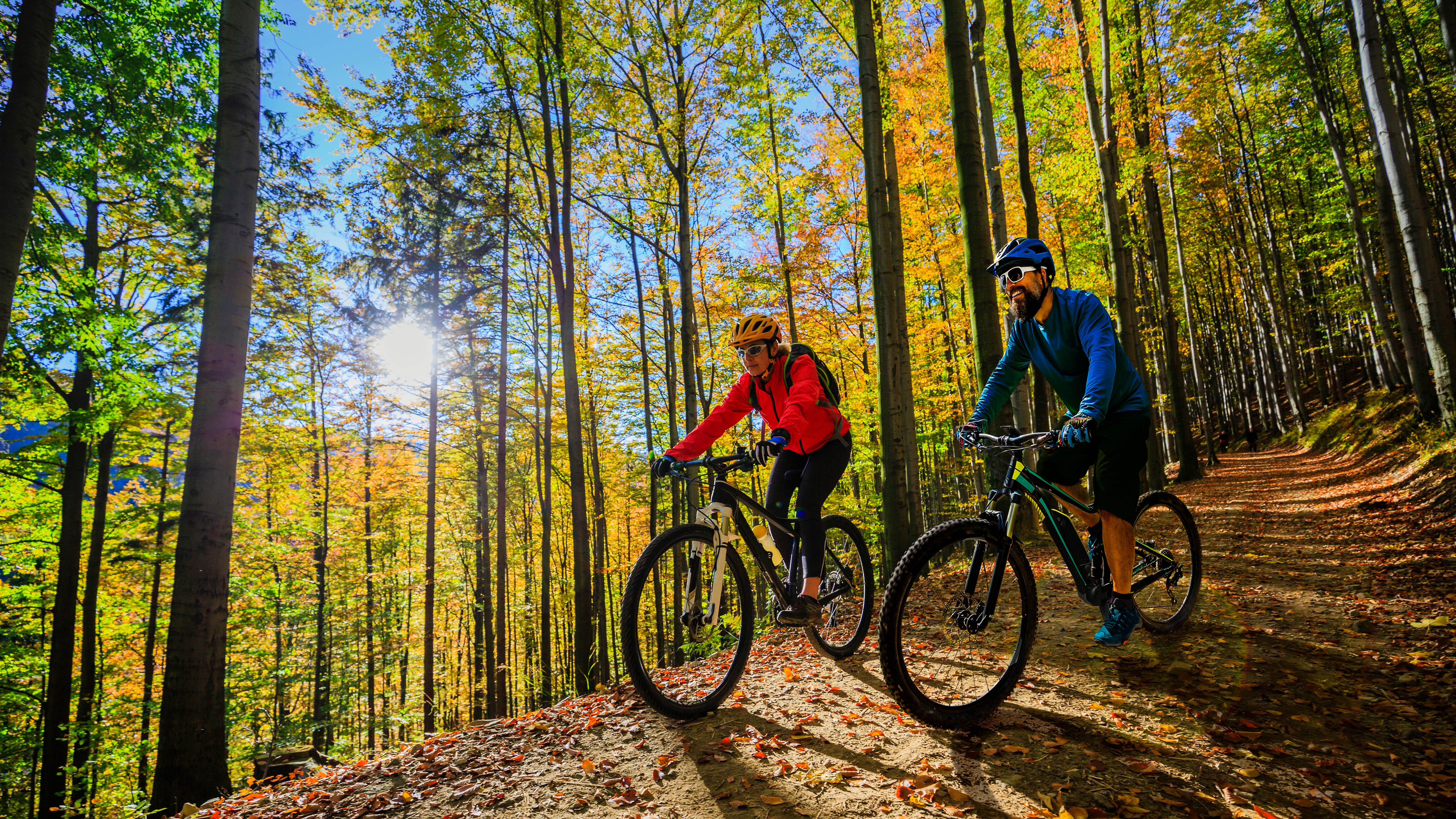 Couple out mountain biking through a forest with bright blue sky